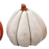 Res Mini Pumpkin Box /12