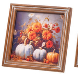 Wd Pumpkin Pics 3 Asst