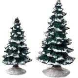 Sm Res Snowy Tree