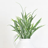 *inner* 12 Stem Seagrass Bush