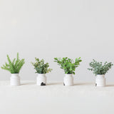 7 Round X 6h Faux Herbs In Stoneware Pot, 4 Styles