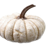 Lg Res Pumpkin 3 Asst