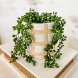 Ceramic Check Planter With Greenery